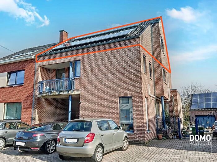 Appartement 1 pièce à louer à RodeRokstraat, Hasselt