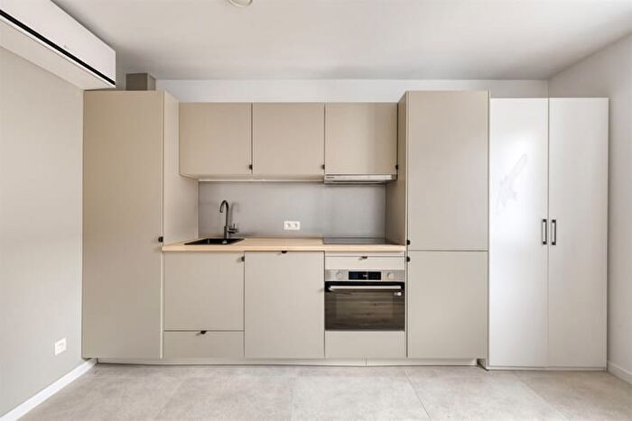 Tervuursesteenweg, Leuven - Appartement 1 pièce à vendre