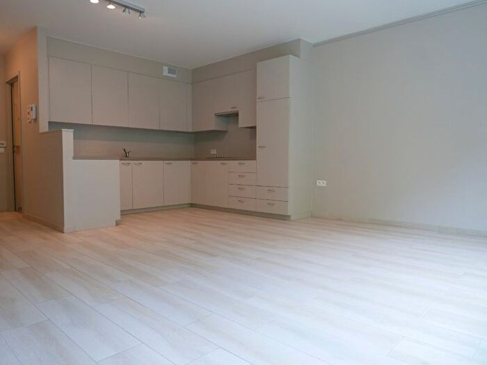 Gentse Steenweg, Sijsele : Appartement 1 pièce à louer