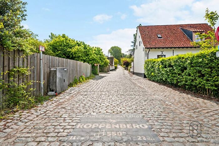 Rotelenberg, Oudenaarde Melden : Maison 2 pièces à vendre