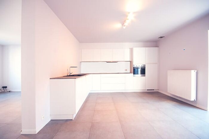 Ouwegemsesteenweg, Zingem - Maison 17 pièces à vendre