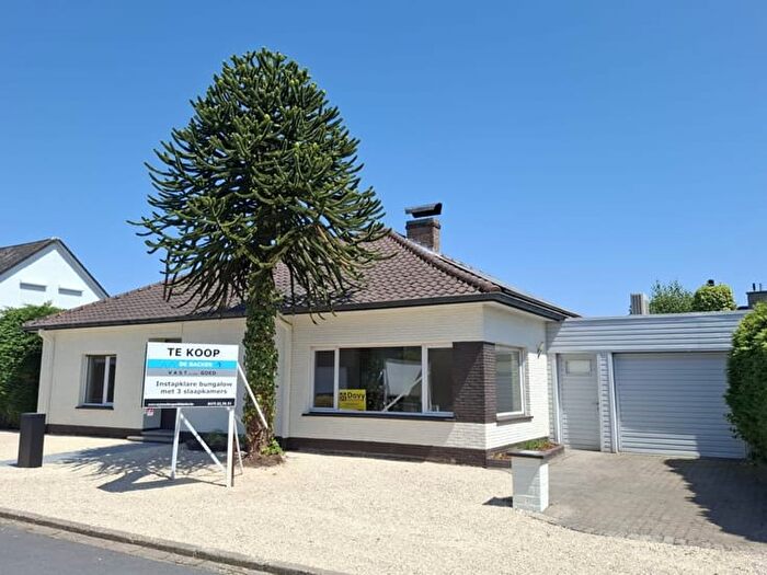 Daalbos, Berlare - Maison 10 pièces à vendre
