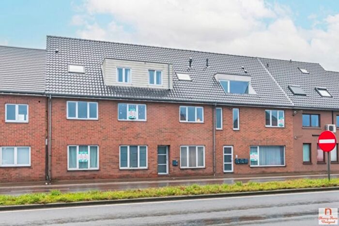 Grote Baan, HouthalenHelchteren : Maison 13 pièces à vendre