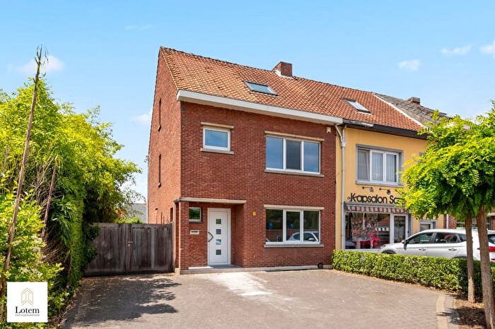 Herseltsesteenweg, Aarschot : Maison 12 pièces à vendre