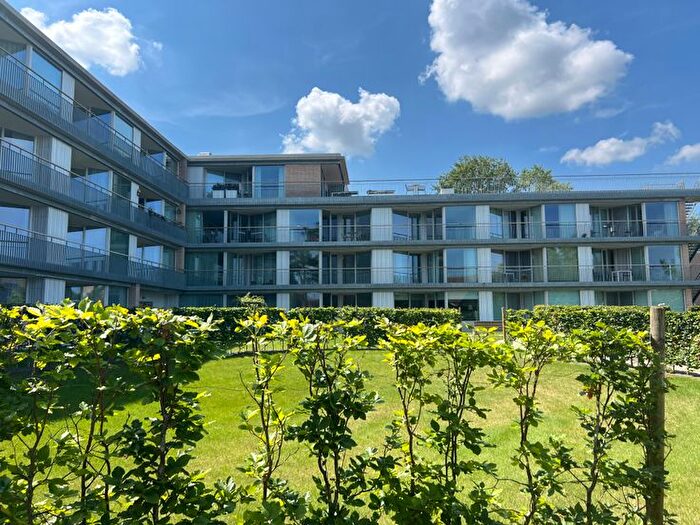 A Boudrystraat, Coxyde : Appartement 1 pièce à louer