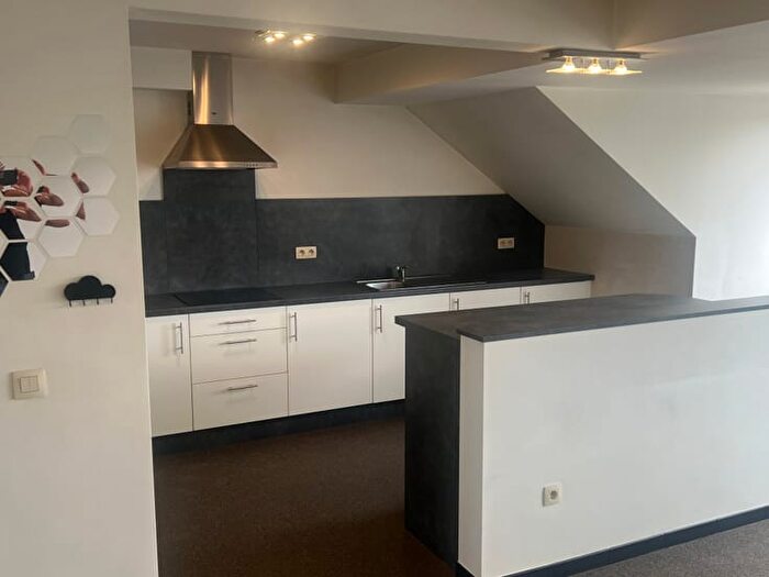 Appartement 1 pièce à Scholtisplein, Maaseik, à louer