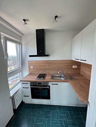 Quai Paul Van Hoegaerden, Liège : Appartement 1 pièce à louer