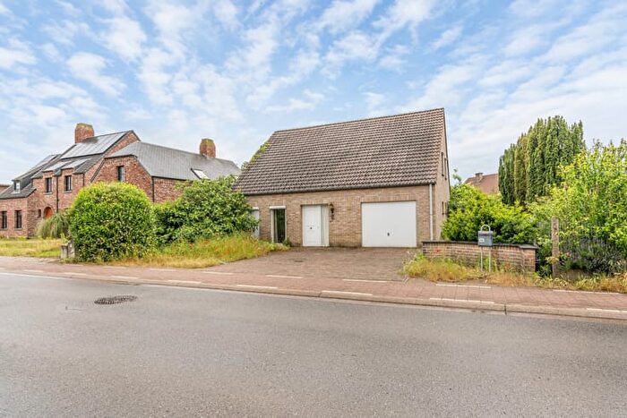 Haltestraat, Begijnendijk : Maison 16 pièces à vendre