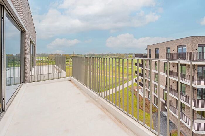 Appartement 2 pièces à louer - Robbedoespad, Turnhout
