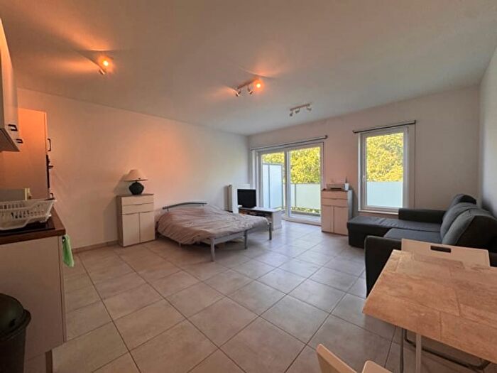 Appartement 1 pièce à Rue du Vicinal, à louer