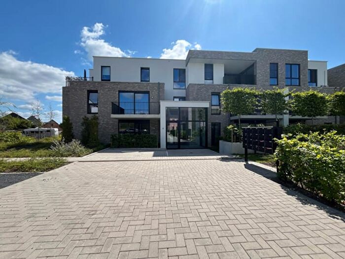Marcel Rosiersstraat, Hoogstraten - Appartement 1 pièce à louer
