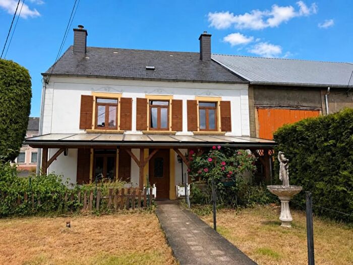 RUE REIFENBERG, Halanzy : Maison 19 pièces à vendre