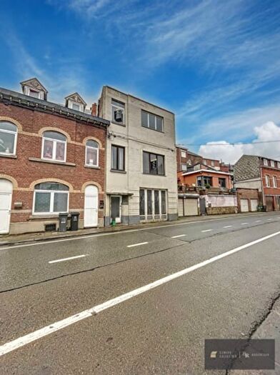 Rue Julien Lahaut, Seraing : Maison 16 pièces à vendre