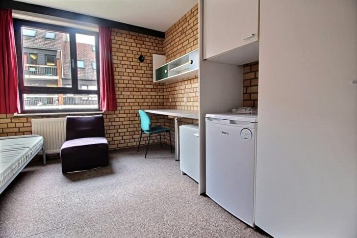 Rue des Blancs Chevaux, LOUVAINLANEUVE - Appartement 1 pièce à vendre