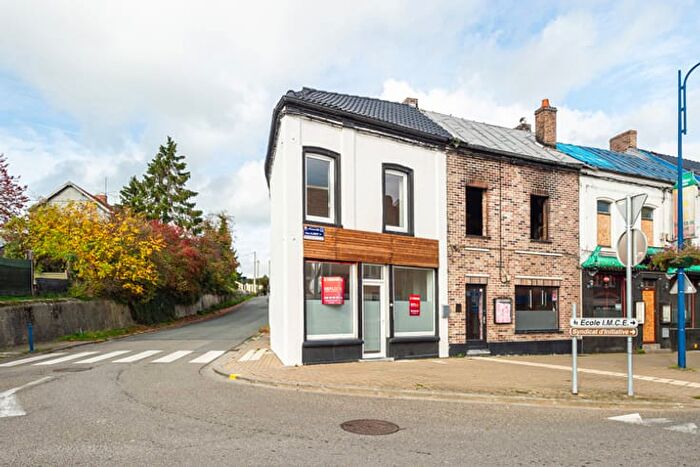 Albert er, Erquelinnes - Maison 3 pièces à vendre