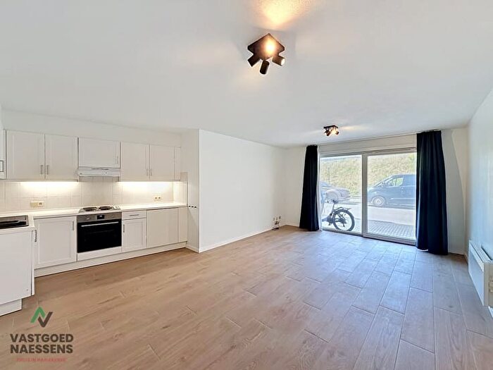 Appartement 1 pièce à louer - Duinenstraat, Oostende