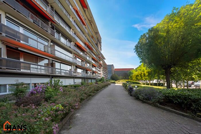 Nieuwdreef, C - Appartement 2 pièces à louer