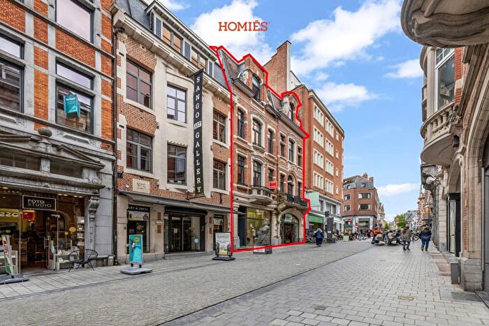 Leopold Vanderkelenstraat, Leuven : Maison 9 pièces à vendre