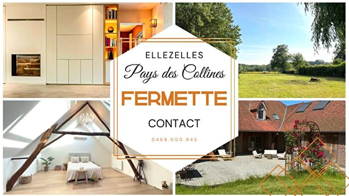 Maison 6 pièces à Grand Monchaut, Ellezelles, à vendre