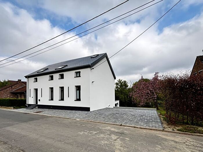 Rue du Trichon, Sauvenière : Maison 15 pièces à vendre