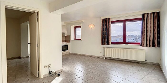 Brugstraat, Geraardsbergen - Appartement 1 pièce à louer