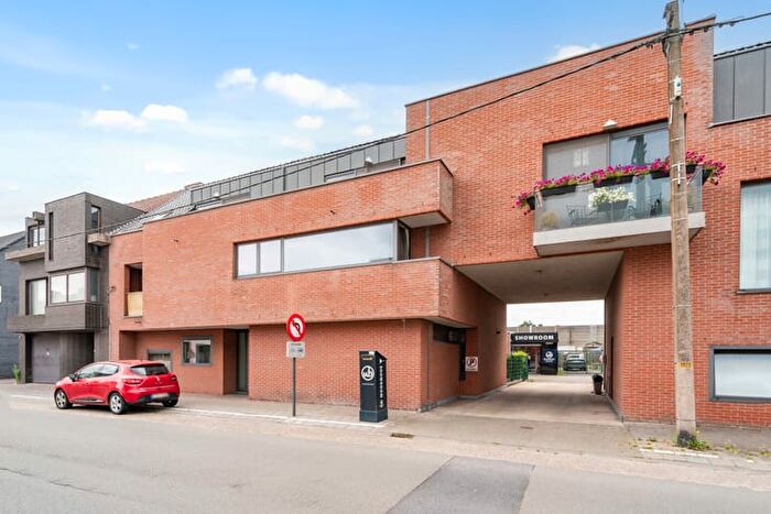 Assenedesteenweg, A : Appartement 11 pièces à vendre
