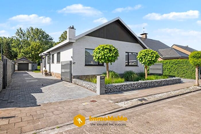 Heidelaan, Zelzate - Maison 15 pièces à vendre