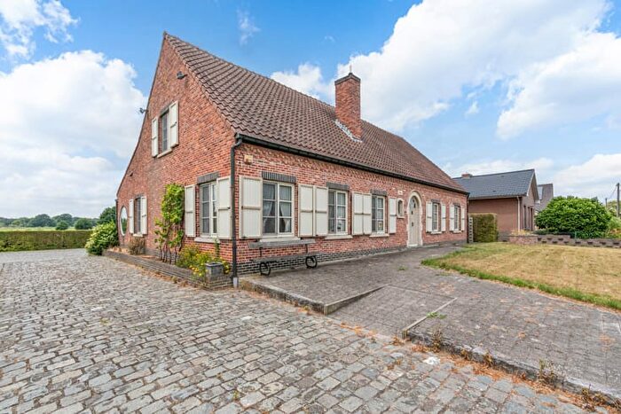 Olenseweg, Westerlo - Maison 7 pièces à vendre