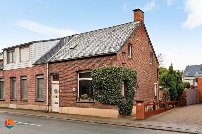 Hoogstraat, Beerzel - Maison 12 pièces à vendre