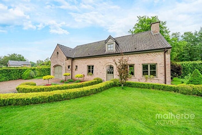 Steinbach, Waimes - Maison 17 pièces à vendre