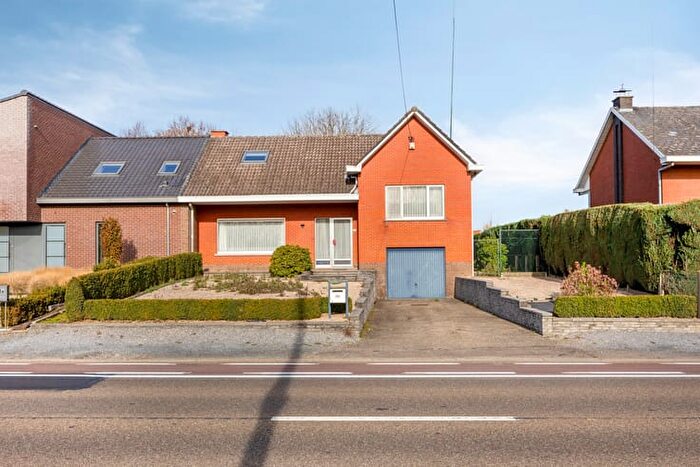 StTruidersteenweg, Hoepertingen - Maison 14 pièces à vendre
