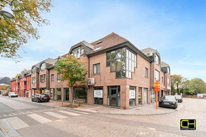 Dorp, Lievegem - Appartement 11 pièces à vendre