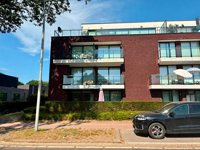 Appartement 7 pièces à louer à Hoogstraat, Genk