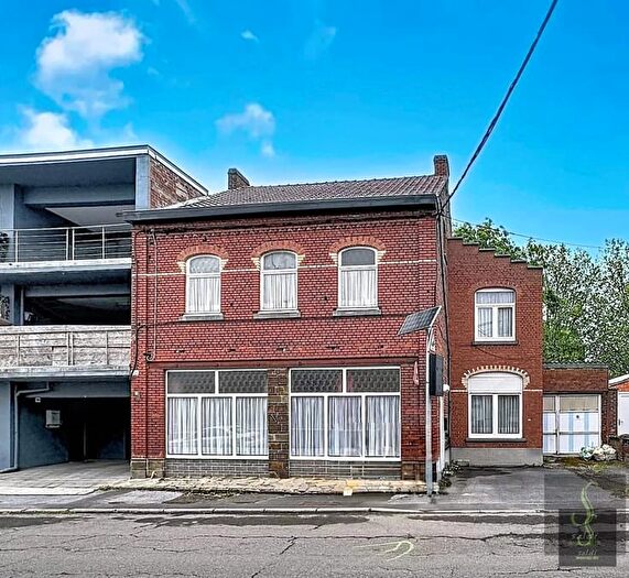 RUE HECTOR TRIGALLEZ, LevalTrahegnies - Maison 15 pièces à vendre