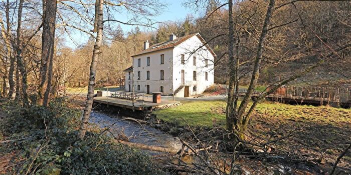 Les Mambes, Bouillon - Maison 13 pièces à vendre