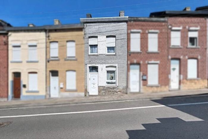 Maison 10 pièces à Rue du Buisson, Seraing, à vendre
