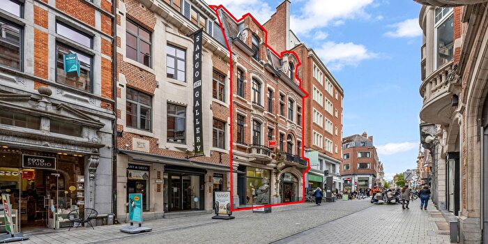 Maison à vendre à Leopold Vanderkelenstraat, Leuven