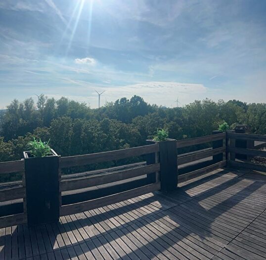 Appartement à vendre - Wulpstraat, Antwerpen