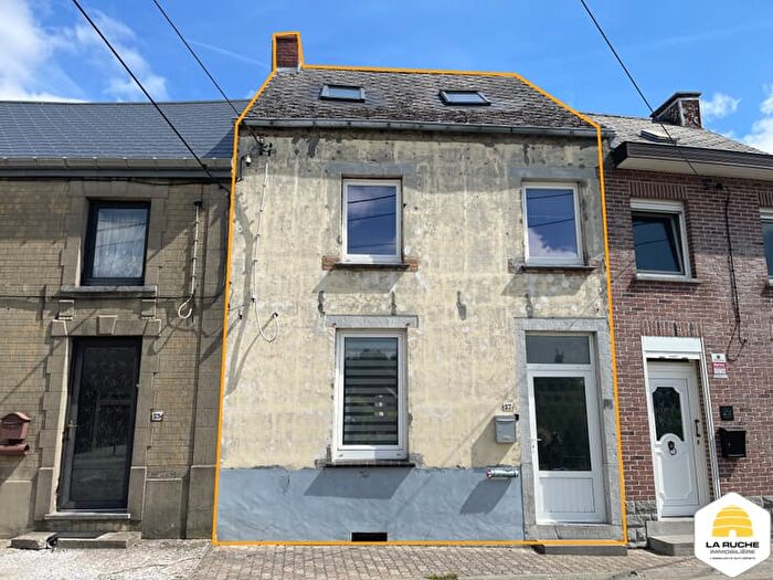 Rue Du Vivier À Taille, Anderlues : Maison 7 pièces à vendre