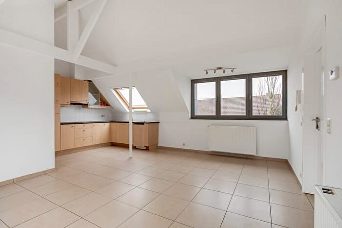 Solftstraat B, Berendrecht - Appartement 7 pièces à vendre