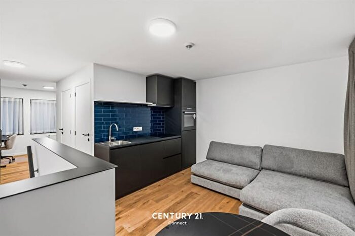Appartement 1 pièce à louer - Pleinstraat, Leuven