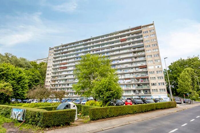 Breughelpark, Zelllik - Appartement 2 pièces à vendre