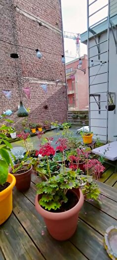Orgelstraat, Antwerpen - Appartement à louer