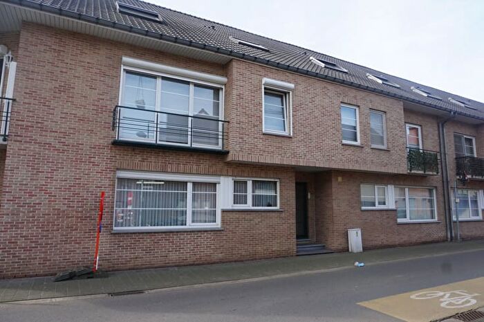 Appartement 13 pièces à louer - Kolmen, Tessenderlo