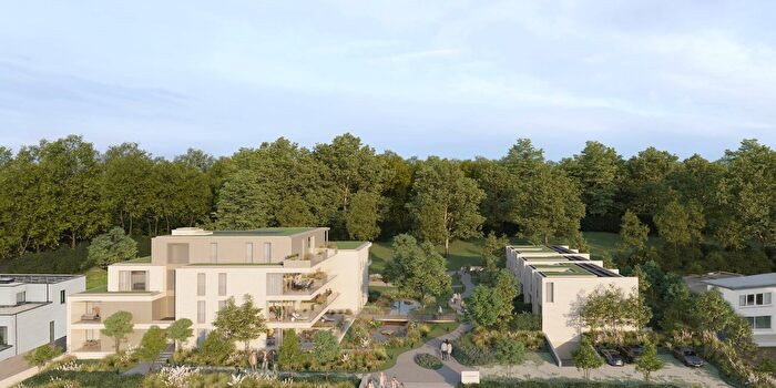 Maison à Schoterweg, Tessenderlo, à vendre