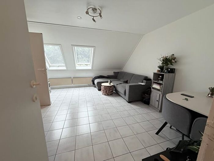 Celestijnenlaan, Leuven : Appartement 1 pièce à louer