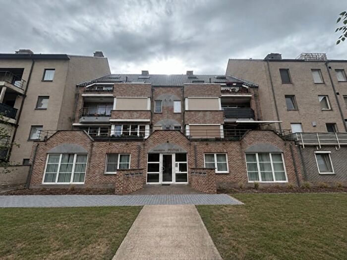 Burgemeester Van Gaalstraat, Pelt : Appartement 3 pièces à louer