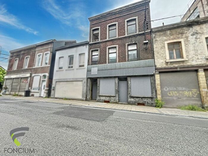 Rue Ferdinand Nicolay, Seraing - Maison 7 pièces à vendre