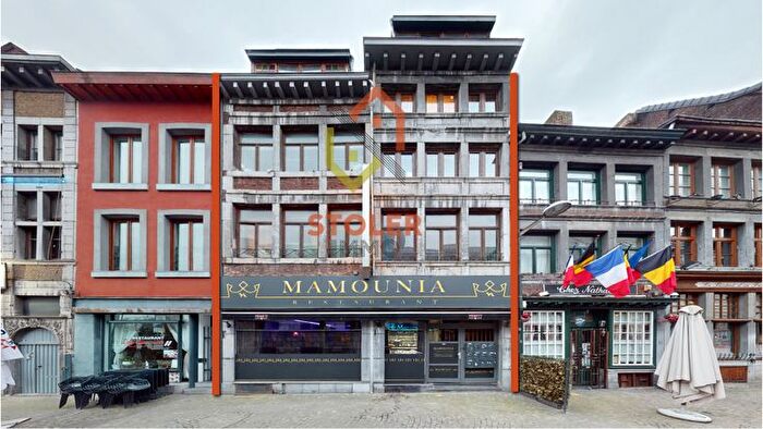 Appartement à vendre - Rue de la Goffe, Liège