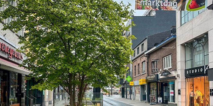 Stationsstraat, Lanaken : Maison à vendre